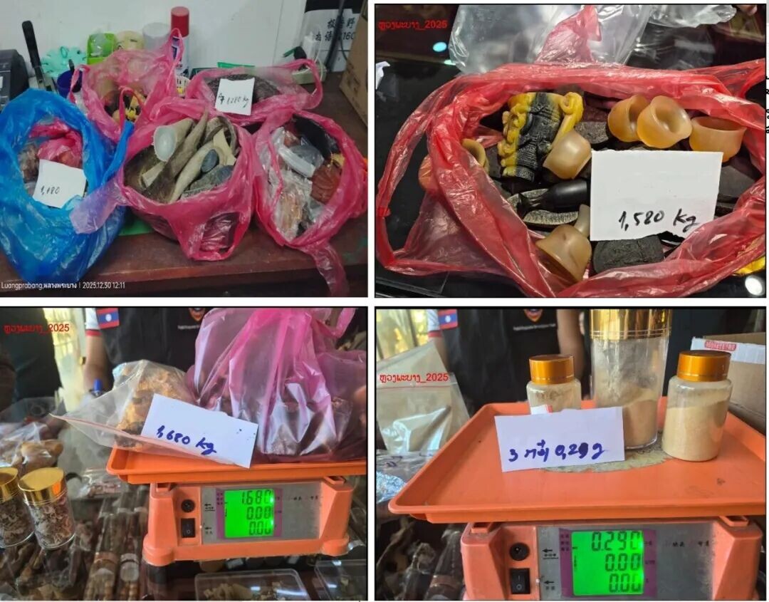 可能是包含下列内容的图片：文字