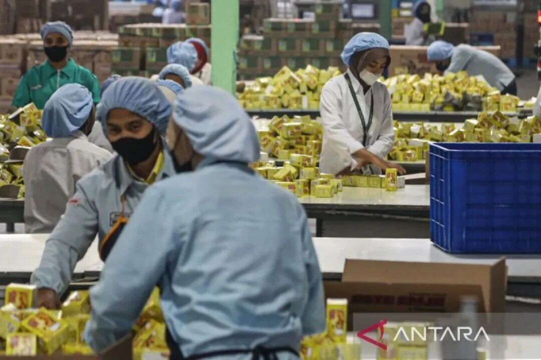 Di balik turunnya angka pengangguran di Indonesia