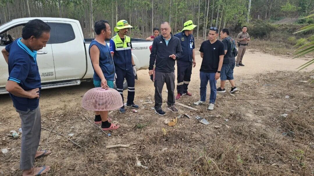 可能是包含下列内容的图片：树