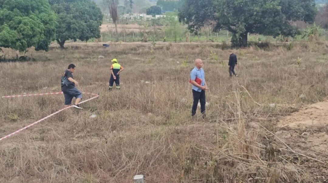 可能是包含下列内容的图片：树和草
