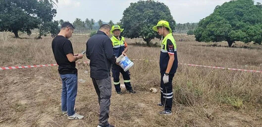 可能是包含下列内容的图片：树和草
