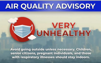 <p><em>(Infographics courtesy of Manila PIO)</em></p>