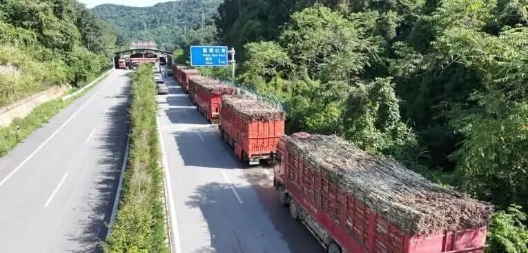 可能是包含下列内容的图片：火车、铁路和马路
