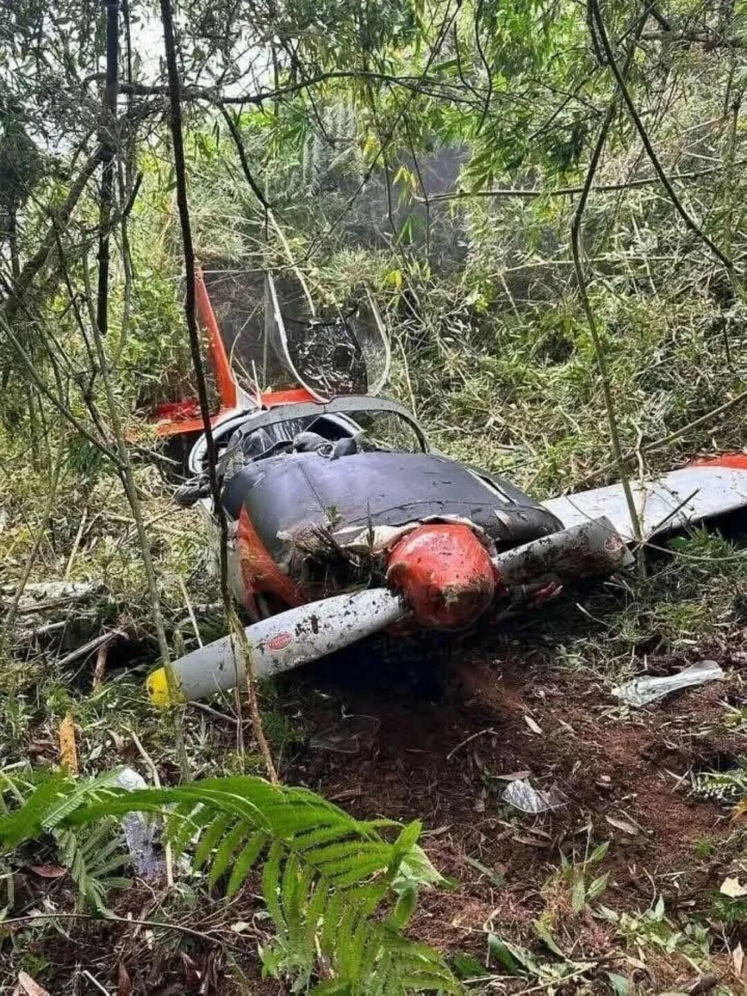 THE ill-fated PAF plane. (Photo courtesy of BM Oliver Paus)