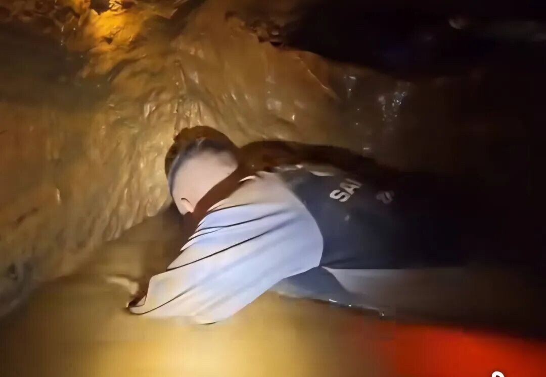 可能是包含下列内容的图片：文字