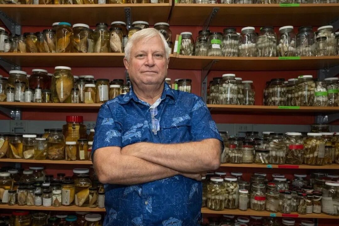 为保护海洋生物而奋斗的美国生物学家遭枪击身亡