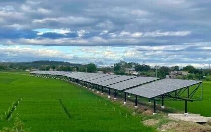 <p><strong>CLEAN ENERGY.</strong> Solar panels at a rice field in Barangay Tangid, Laoag City, Ilocos Norte. The Department of Finance on Wednesday (July 15, 2026) said the Green Climate Fund extended a USD6.78 million grant to help the Philippines implement climate investments that will protect communities from the impacts of climate change, accelerate the transition to clean energy, and support sustainable and inclusive economic growth.<em> (PNA photo by Leilanie Adriano)</em></p>