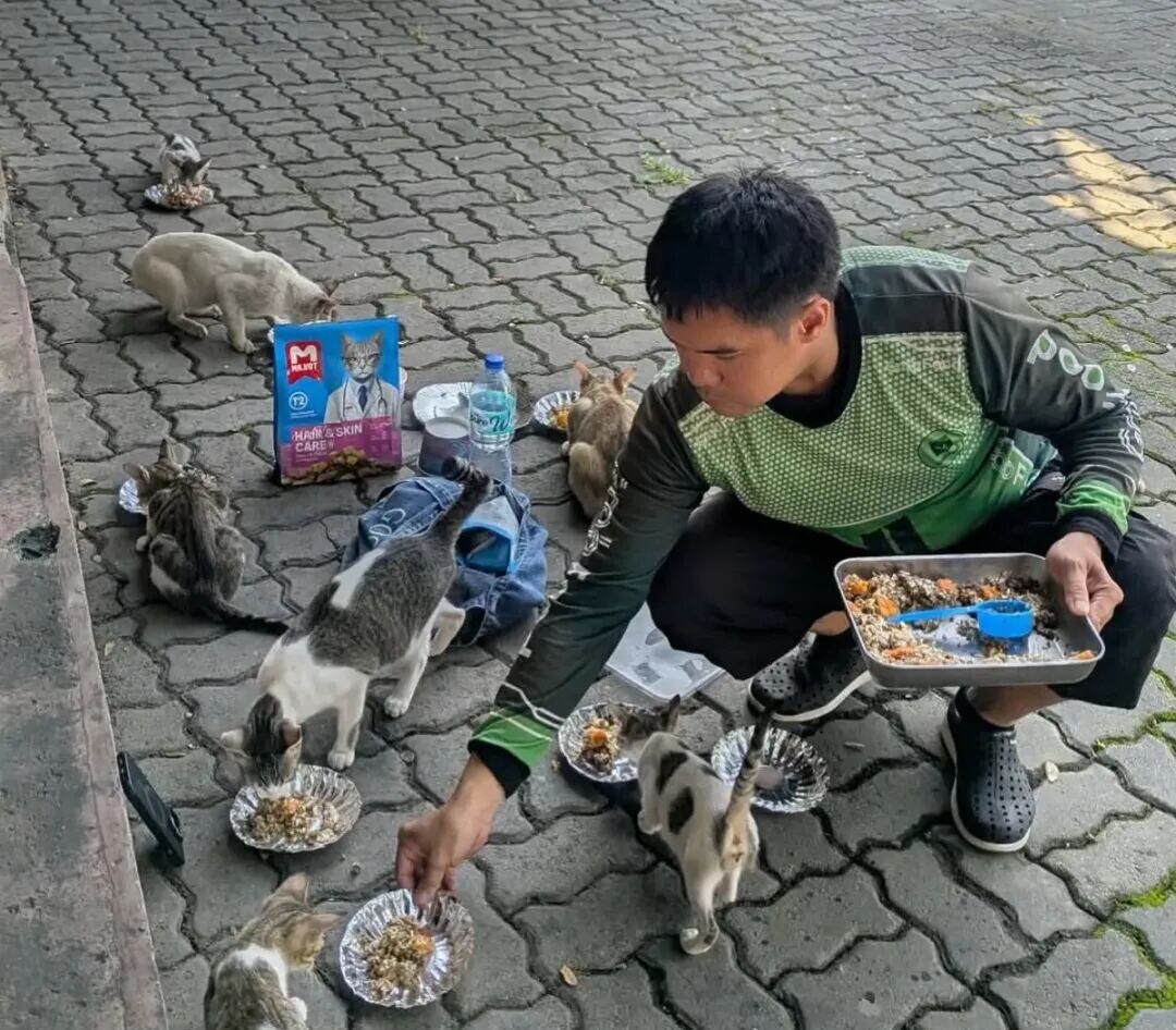 Benj Paz pauses between deliveries to feed stray cats along his route, using tips and loose change he sets aside for animal food.