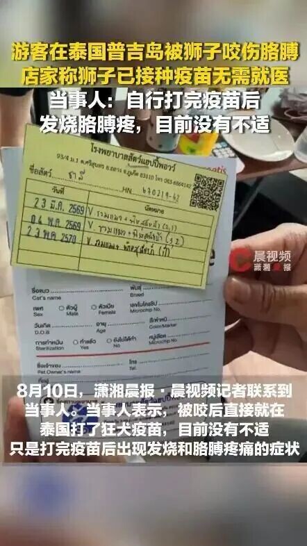 普吉岛幼狮咬伤中国游客！店家称“无需就医”，当事人自费打针后发烧