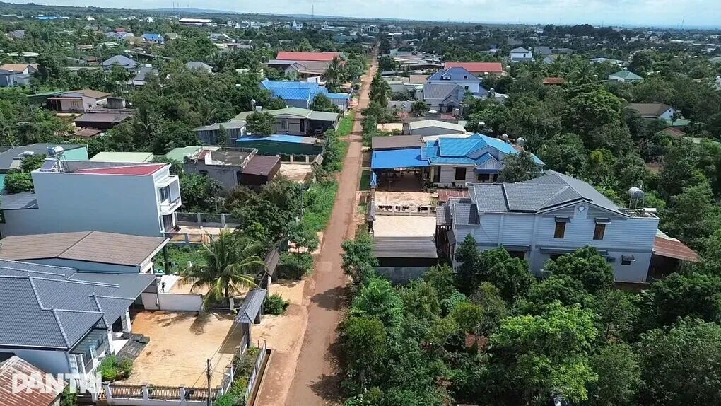 Làng tỷ phú giữa thủ phủ cây tỷ đô - 1