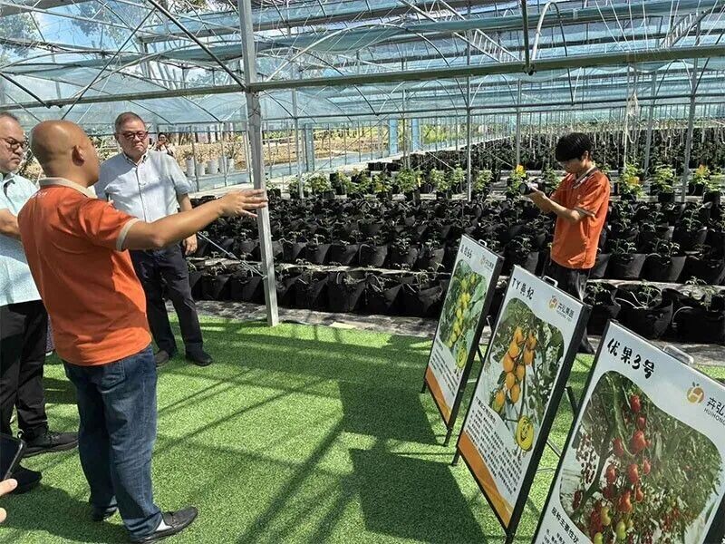 Chinaâ��s smart farming technology under study