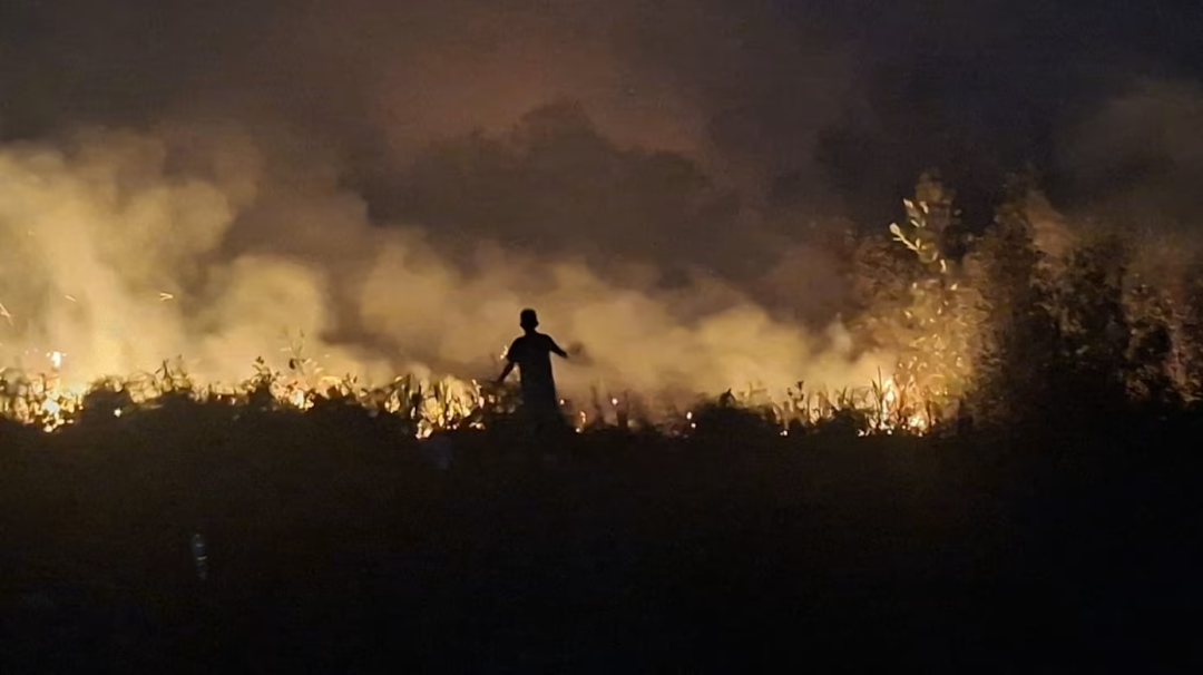 印尼多地森林火灾致10人死亡，国会议长呼吁检讨灭火安全程序