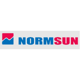 朗臣企業出海顧問 CÔNG TY TNHH NORMSUN ADVISORY VIETNAM