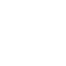 阿里亚酒店 (Aira Hotel)