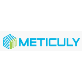 Meticuly