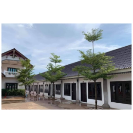 新星民宿 ເຮືອນພັກ ນິວສະຕຣາ