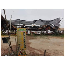 泰昌兴旺地道老挝风味餐厅 ຮ້ານອາຫານເຕີ້ຍຈະເລີນຮຸ້ງເຮືອງ
